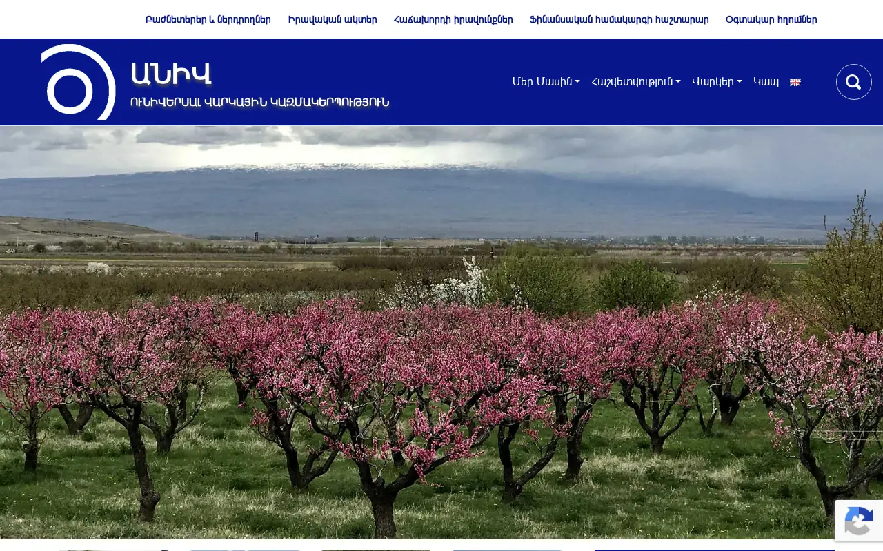 screenshot of aniv.am