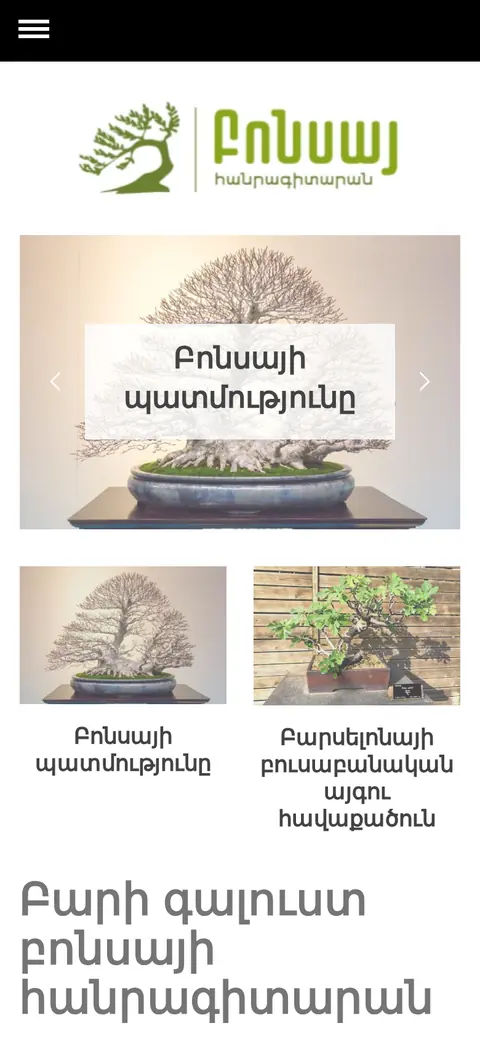 bonsai.am հեռախոսի էկրանին