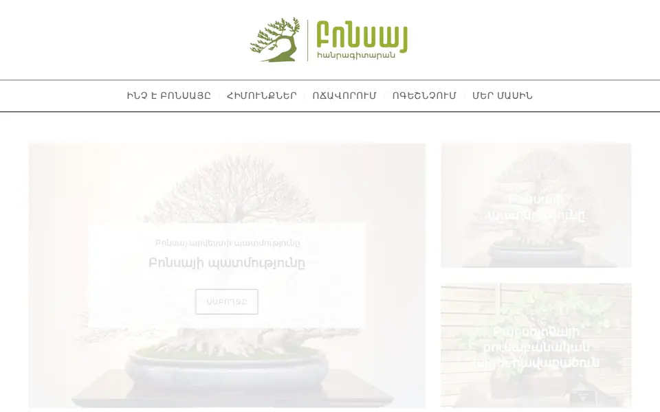 bonsai.am համակարգչի էկրանին