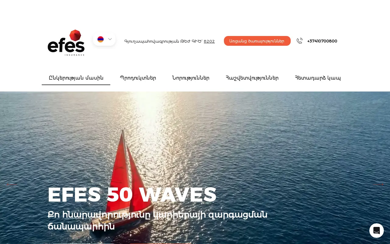 screenshot of efes.am