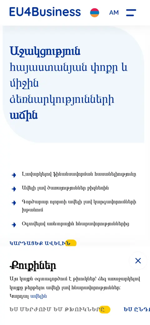 eu4business.am հեռախոսի էկրանին