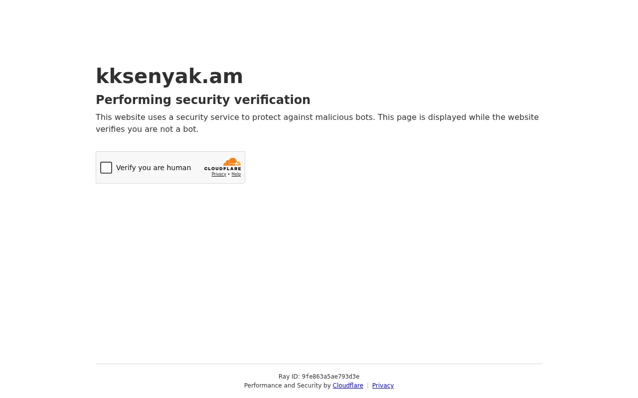 screenshot of kksenyak.am