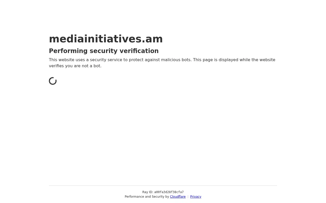 screenshot of mediainitiatives.am