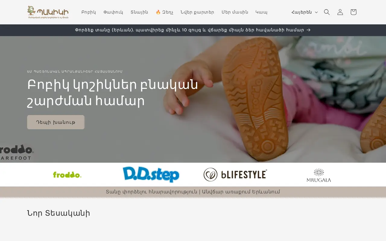 screenshot of pakiki.am